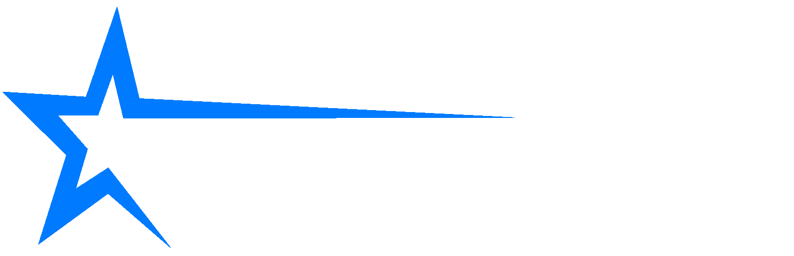 Footer Logo